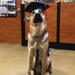 Meet your Posher, Amy